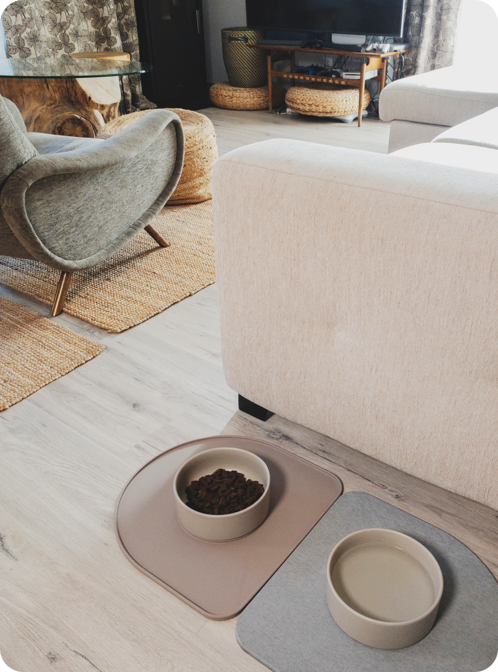 Mess-Proof Cat Placemat Set