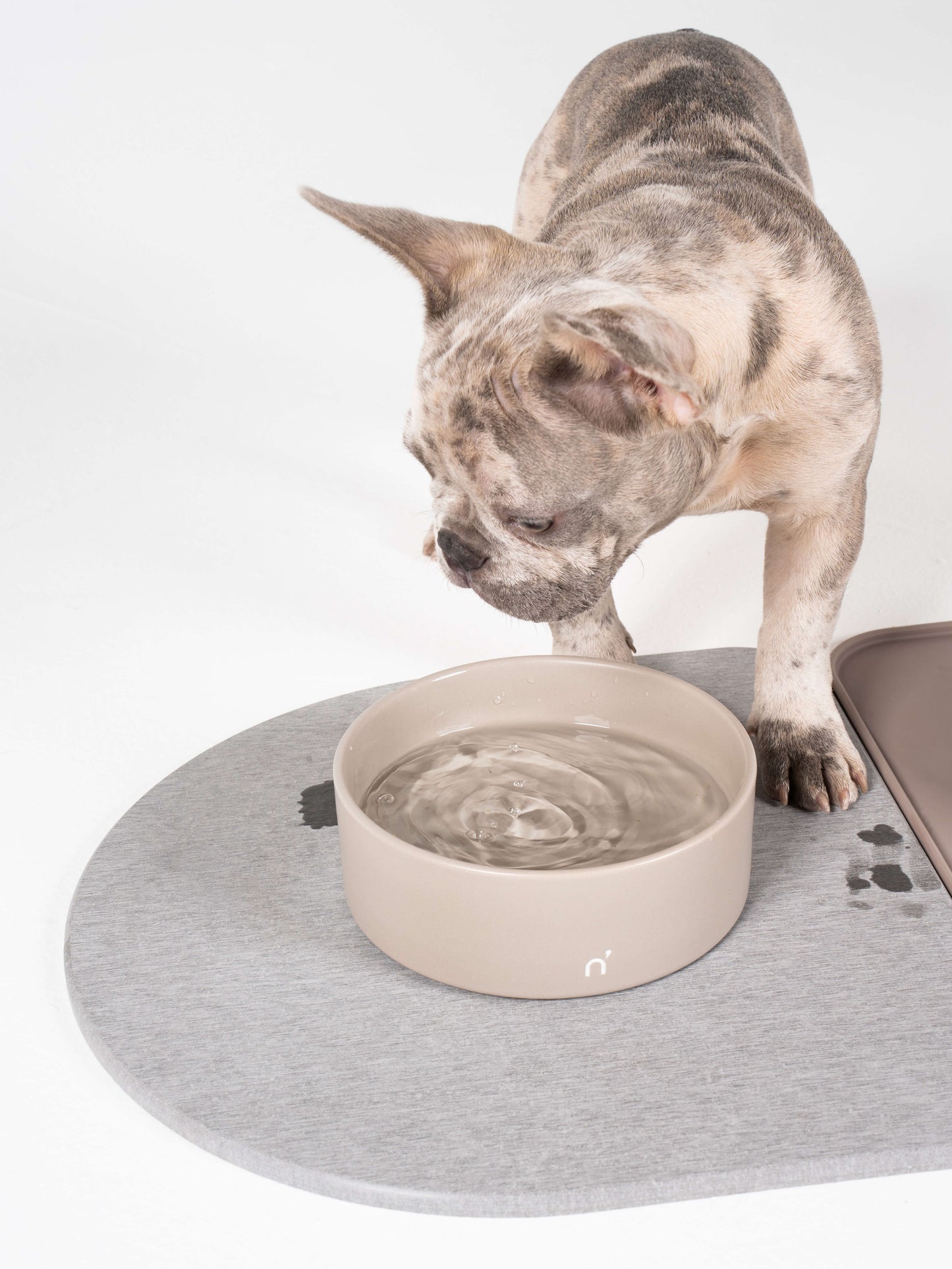 QuickDry Bowl Base