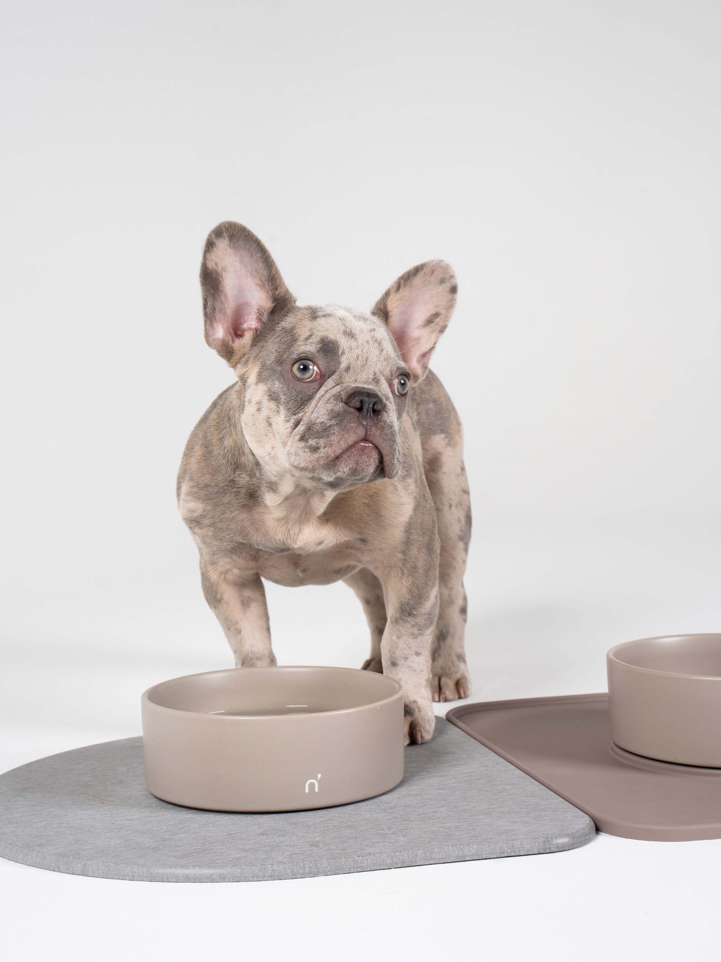 QuickDry Bowl Base