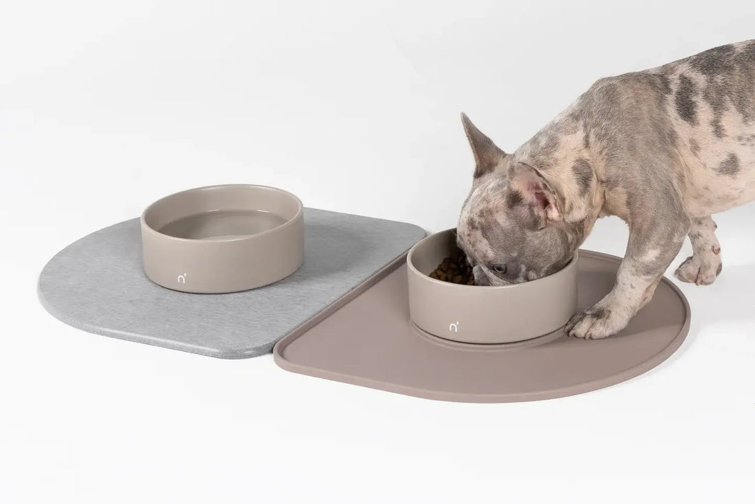 How do I stop my dog messing up my new flooring?